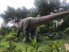 -自贡恐龙博物馆