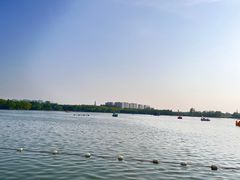 -大兴滨河森林公园