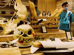 -北京王府井希尔顿酒店·万斯阁西餐厅