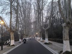 -灵谷景区