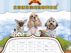 -瑞派·关忠动物医院·猫专科·犬专科(三环新城店)