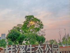 -桂溪生态公园