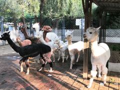 -长白岛森林公园