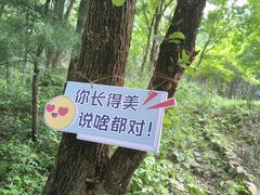 -帽儿山风景区
