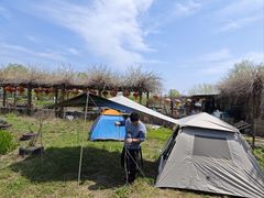 -同銮特种养殖场·龙虾垂钓