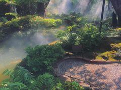 -Chom Cafe and Restaurant