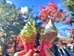 -豆政(金閣寺境内売店)