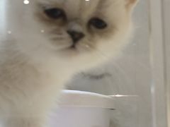 -乐宠宠物店(世纪金源店)