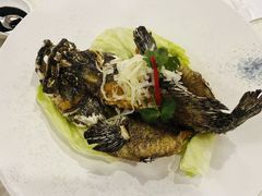 -珍宝海鲜JUMBO Seafood(尚嘉店)