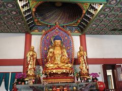 -上海东林寺(金山区)