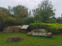 -东平国家森林公园