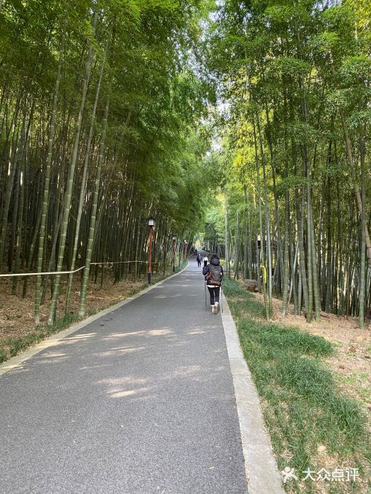 穹窿山景区图片