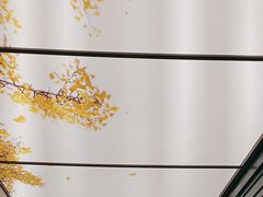 -京味斋·烤鸭·北京菜(安贞店)