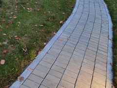 -中国浦东干部学院