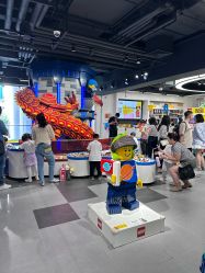 -乐高品牌旗舰店(人民广场店)
