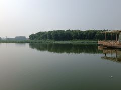 -大兴滨河森林公园