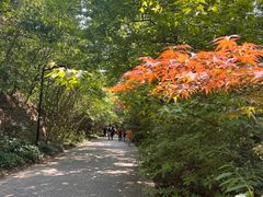 -虞山风景区