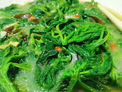 -金苑酒家·客家菜·广东老字号(万象店)