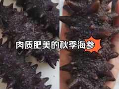 -宫品海参专卖店(黄浦老西门店)