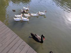 -杭州师范大学(下沙校区)