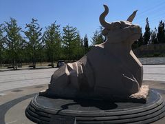 -永定河休闲森林公园