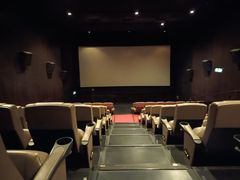 -百老汇电影中心(油麻地店)