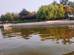 -台儿庄古城