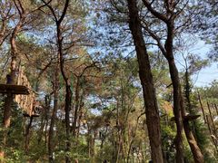 -芦仙山景区-飞越丛林探险乐园