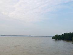 -宝安西湾红树林湿地公园