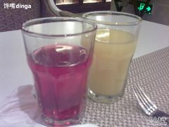 20101016964果醋-翰尔酒店(苏州金鸡湖国际博览中心店)
