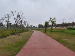 -春花秋色城市公园