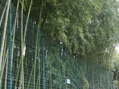 -西安市长乐公园