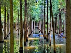 -捞渔河湿地公园