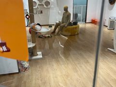 -1013 PET SHOP精品宠物商店(丁香店)