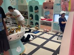 点击看大图 -奈尔宝家庭中心·亲子餐厅(苏州大悦城店)