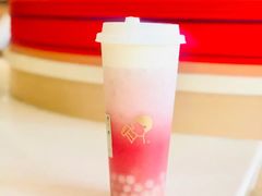 多肉荔枝-喜茶(佛山岭南站店)