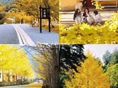 -广州市石门国家森林公园