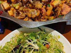 凉拌苦菊-馋嘴蛙火锅