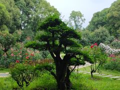 -东湖落雁景区