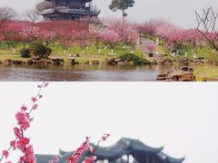 -上海海湾国家森林公园