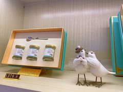 -燕庭·纯燕窝·甜品下午茶(南京西路店)