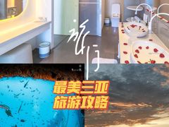 -三亚市图书馆