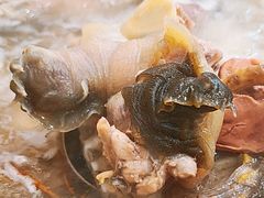 -佳养记百味鸡煲海曙孝闻街店