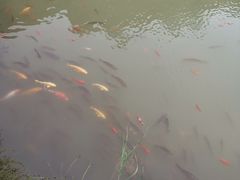 -桑干河大峡谷旅游区