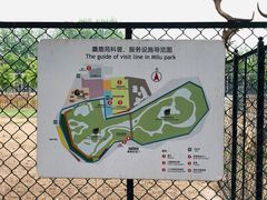 -北京麋鹿生态实验中心