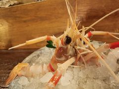 -斯普汇生蚝牛排馆(中骏世界城店)