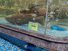-旺豪阳光超市(友谊阳光城店)