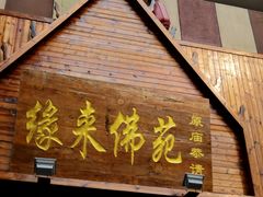 -万达广场(泰安泰山店)