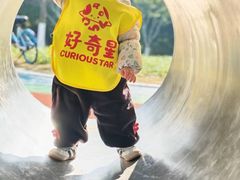 -好奇星国际托育(金地自在城校区)