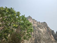 -红井路游艺炖锅·音乐餐吧(十渡店)